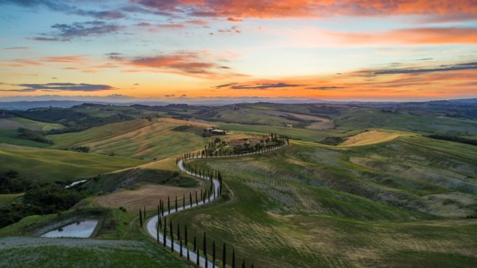 What is a good Tuscany wine?