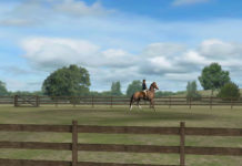 What is a good beginner horse? What is a good beginner horse?