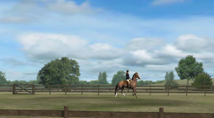 What is a good beginner horse? What is a good beginner horse?