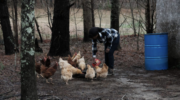 What is an example of a black market? What is an example of a black market?