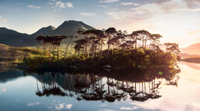 What is daybreak Ireland? What is daybreak Ireland?