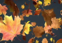 What is falling leaf in snowboarding? What is falling leaf in snowboarding?