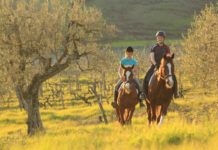 What is horseback riding known as? What is horseback riding known as?