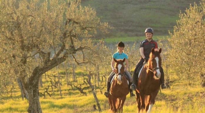 What is horseback riding known as? What is horseback riding known as?