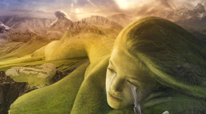 What is teamLab known for? What is teamLab known for?