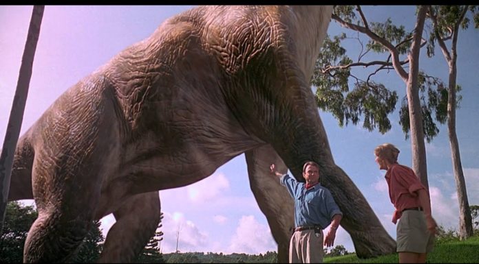 What is the #1 zoo in the world? What is the