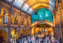 What is the Mall in London UK? What is the Mall in London UK?