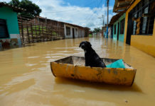 What is the Weather in Cartagena Colombia in May? What is the Weather in Cartagena Colombia in May?