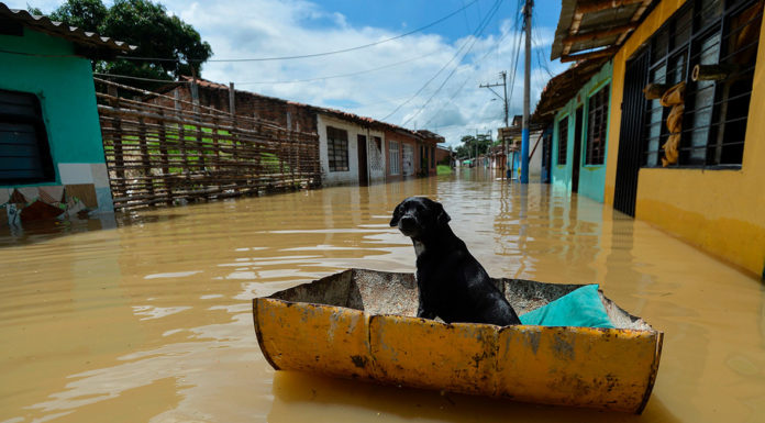 What is the Weather in Cartagena Colombia in May? What is the Weather in Cartagena Colombia in May?