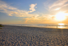 What is the best bait for beach fishing? What is the best bait for beach fishing?