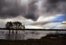 What is the best free navigation app for iPhone? What is the best free navigation app for iPhone?