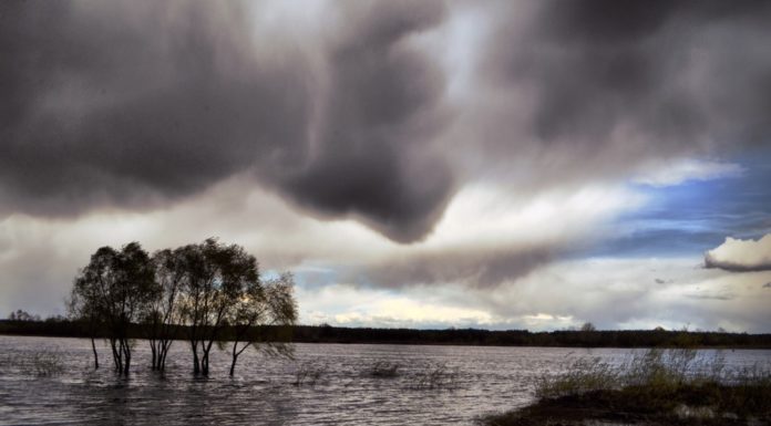 What is the best free navigation app for iPhone? What is the best free navigation app for iPhone?