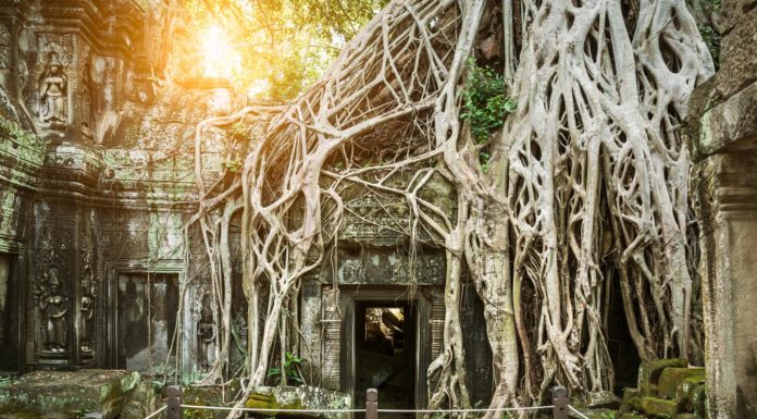 What is the best month to go to Austria? What is the best month to go to Austria?