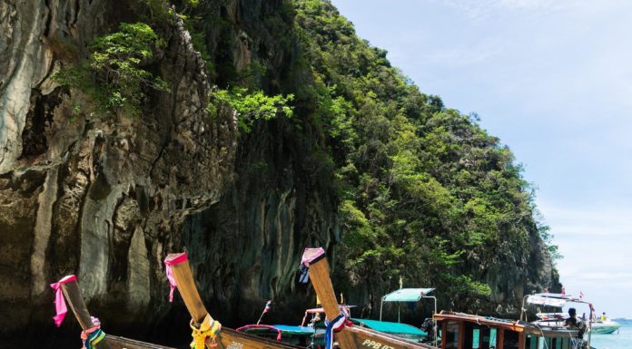 What is the best month to go to Vietnam? What is the best month to go to Vietnam?