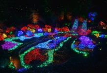 What is the best month to visit Butchart Gardens? What is the best month to visit Butchart Gardens?