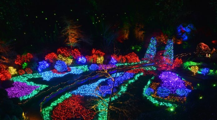 What is the best month to visit Butchart Gardens? What is the best month to visit Butchart Gardens?