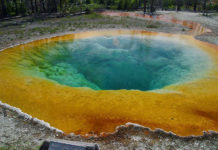 What is the best month to visit Yellowstone National Park? What is the best month to visit Yellowstone National Park?