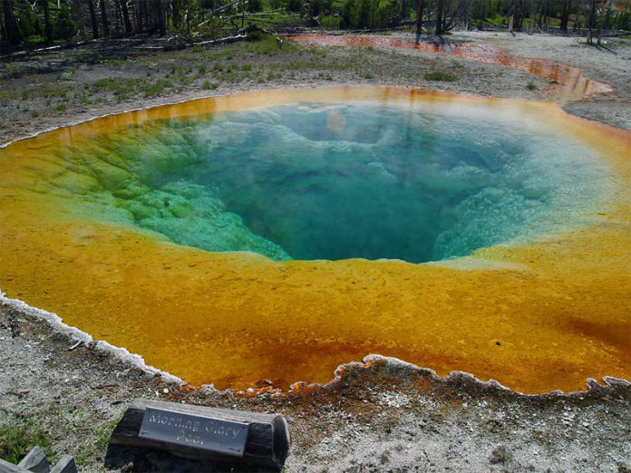 What is the best month to visit Yellowstone National Park?