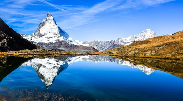 What is the best neighborhood in Zurich? What is the best neighborhood in Zurich?