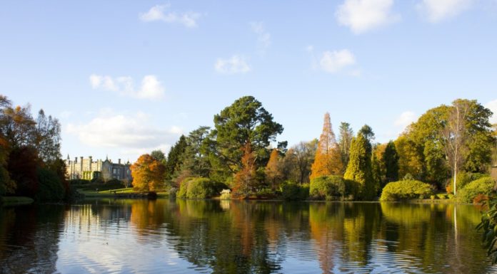 What is the best part of Barbados to stay in? What is the best part of Barbados to stay in?