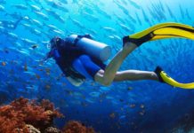 What is the best time for scuba diving? What is the best time for scuba diving?