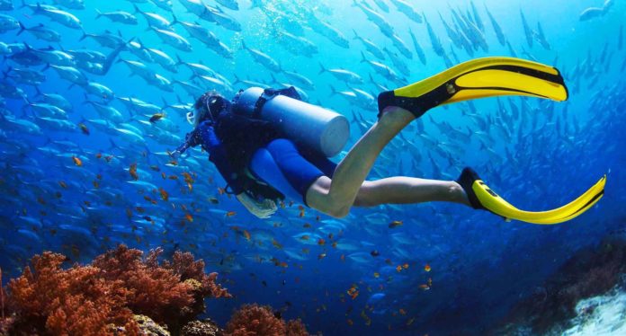 What is the best time for scuba diving?