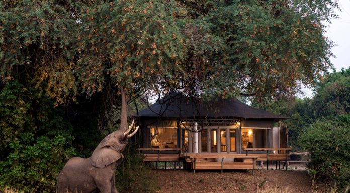 What is the best time of year to go to South Carolina? What is the best time of year to go to South Carolina?