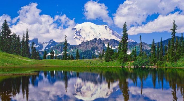 What is the best time to visit Mt. Rainier? What is the best time to visit Mt. Rainier?