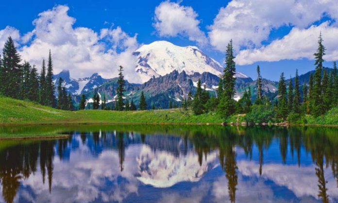 What is the best time to visit Mt. Rainier?