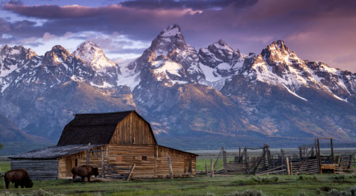 What is the best time to visit New York? What is the best time to visit New York?