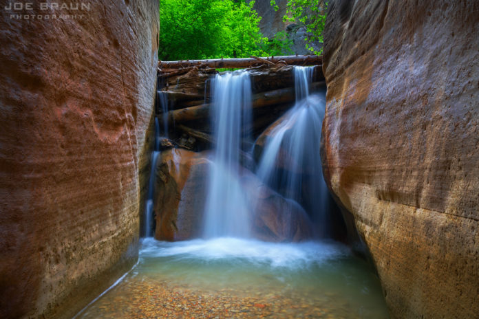 What is the best trail in Zion National Park?