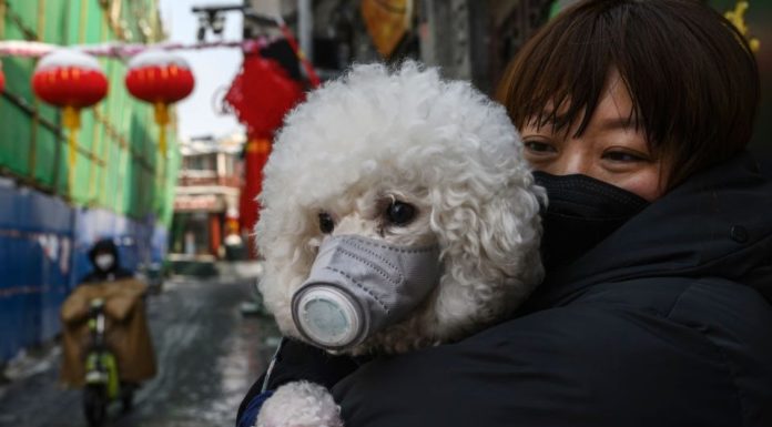 What is the best way to get around in Hong Kong? What is the best way to get around in Hong Kong?