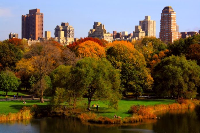 What is the best way to tour Central Park?