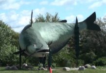 What is the biggest fish in Lake Michigan? What is the biggest fish in Lake Michigan?