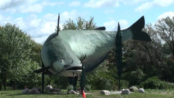 What is the biggest fish in Lake Michigan?