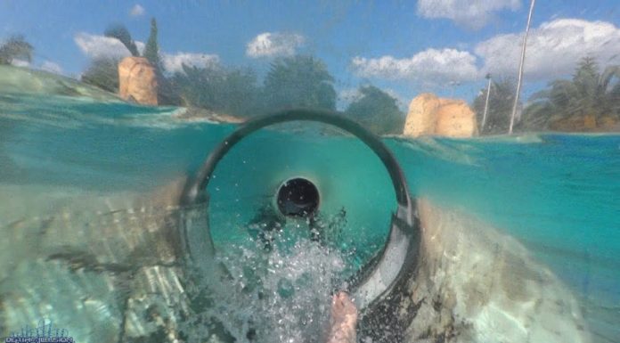 What is the biggest water slide at Disney World? What is the biggest water slide at Disney World?