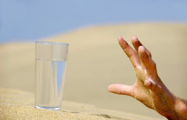 What is the cheapest food to survive on? What is the cheapest food to survive on?