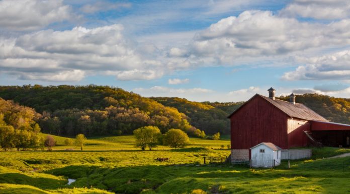 What is the cheapest month to fly to USA? What is the cheapest month to fly to USA?