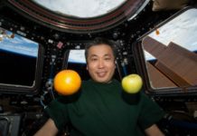 What is the cheapest way to eat? What is the cheapest way to eat?