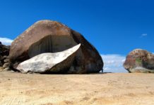 What is the coldest month in Joshua Tree? What is the coldest month in Joshua Tree?