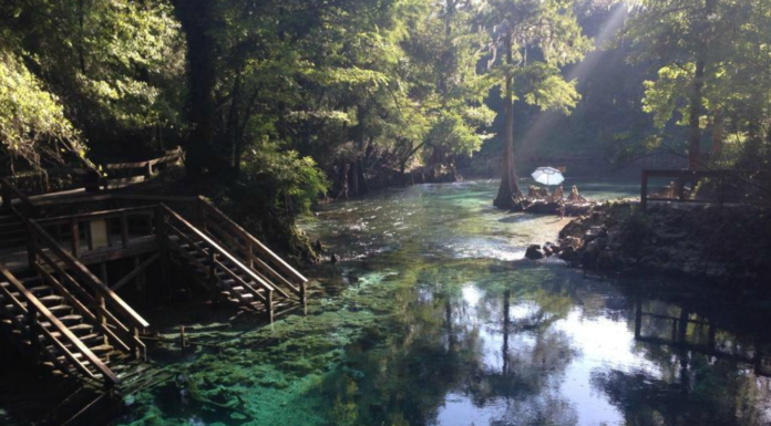 What is the coolest city in Florida? What is the coolest city in Florida?
