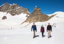 What is the difference between Jungfrau and Jungfraujoch? What is the difference between Jungfrau and Jungfraujoch?