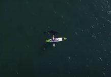 What is the difference between a kayak and a sea kayak? What is the difference between a kayak and a sea kayak?