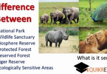 What is the difference between national park and game reserve? What is the difference between national park and game reserve?
