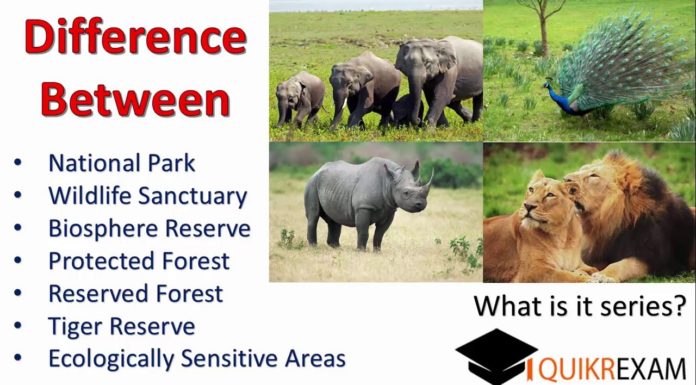 What is the difference between national park and game reserve? What is the difference between national park and game reserve?