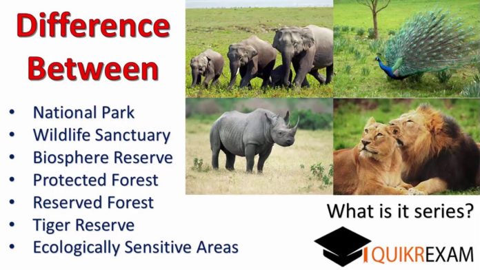 What is the difference between national park and game reserve?