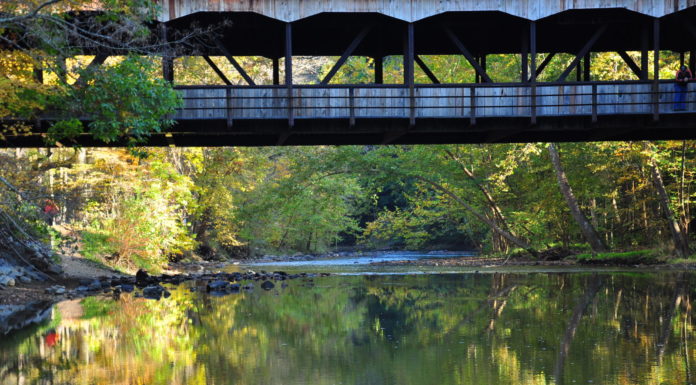 What is the largest state park in Vermont? What is the largest state park in Vermont?