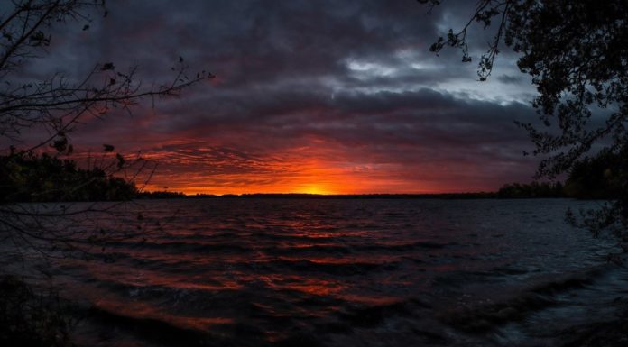 What is the most beautiful café in the world? What is the most beautiful café in the world?