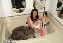 What is the most beautiful part of Brittany? What is the most beautiful part of Brittany?