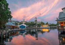 What is the most dog friendly city in Florida? What is the most dog friendly city in Florida?